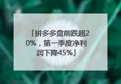 拼多多盘前跌超20%，第一季度净利润下降45%