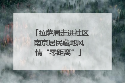 拉萨周走进社区 南京居民藏地风情“零距离”