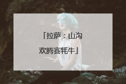 拉萨：山沟欢腾赛牦牛