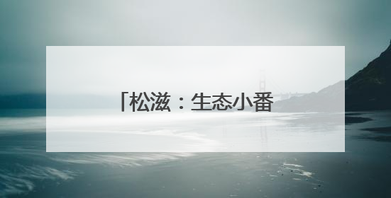松滋：生态小番茄丰收 绿色农业助力农民增收