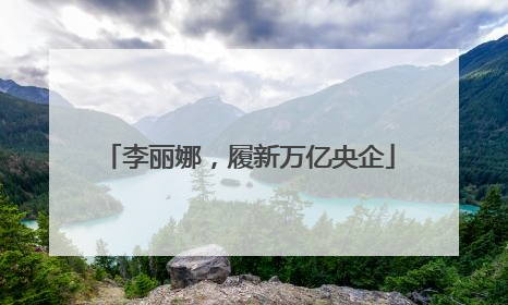 李丽娜，履新万亿央企