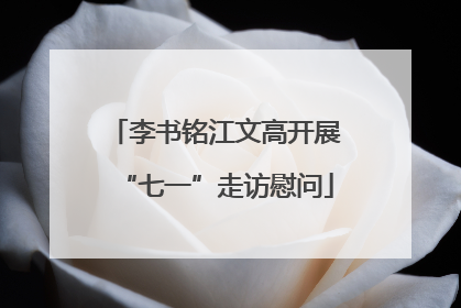 李书铭江文高开展“七一”走访慰问