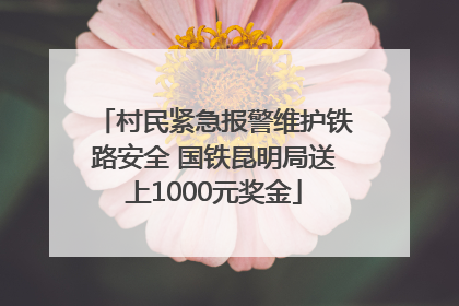 村民紧急报警维护铁路安全 国铁昆明局送上1000元奖金
