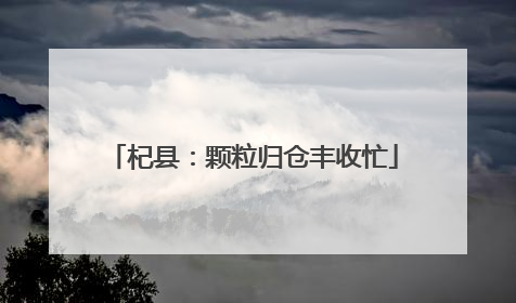 杞县：颗粒归仓丰收忙