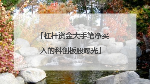 杠杆资金大手笔净买入的科创板股曝光