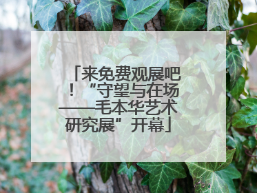 来免费观展吧！“守望与在场——毛本华艺术研究展”开幕