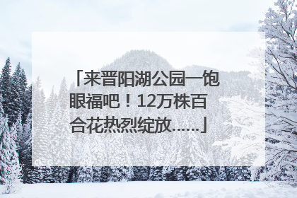 来晋阳湖公园一饱眼福吧！12万株百合花热烈绽放……