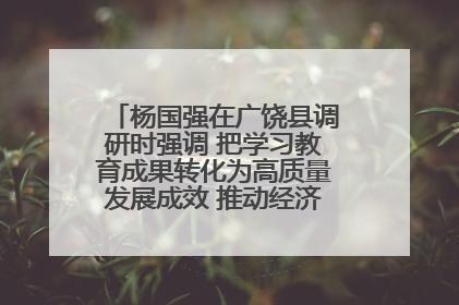 杨国强在广饶县调研时强调 把学习教育成果转化为高质量发展成效 推动经济稳健向好进中提质
