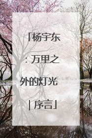 杨宇东：万里之外的灯光｜序言