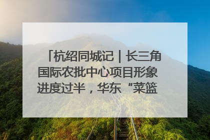 杭绍同城记｜长三角国际农批中心项目形象进度过半，华东“菜篮子”建设加码提速！
