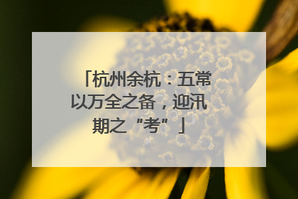 杭州余杭：五常以万全之备，迎汛期之“考”