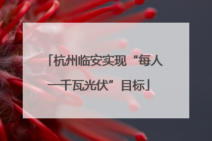 杭州临安实现“每人一千瓦光伏”目标