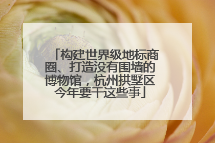 构建世界级地标商圈、打造没有围墙的博物馆，杭州拱墅区今年要干这些事