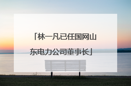 林一凡已任国网山东电力公司董事长