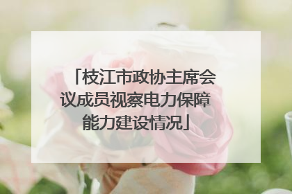 枝江市政协主席会议成员视察电力保障能力建设情况