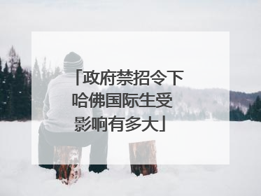 政府禁招令下 哈佛国际生受影响有多大