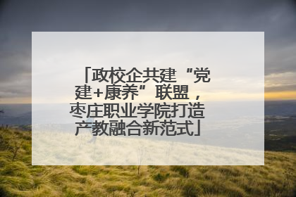 政校企共建“党建+康养”联盟，枣庄职业学院打造产教融合新范式