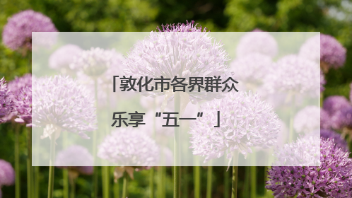 敦化市各界群众乐享“五一”