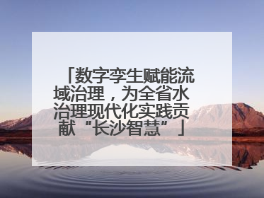 数字孪生赋能流域治理，为全省水治理现代化实践贡献“长沙智慧”