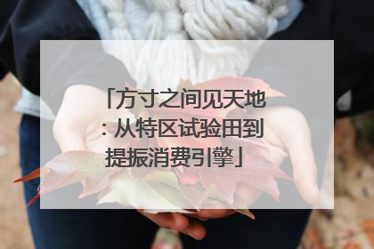 方寸之间见天地：从特区试验田到提振消费引擎