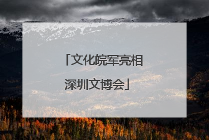 文化皖军亮相深圳文博会
