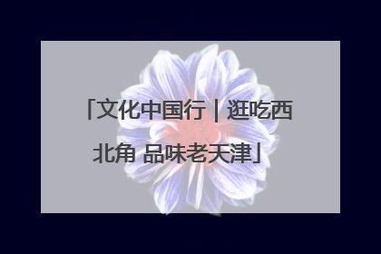文化中国行｜逛吃西北角 品味老天津