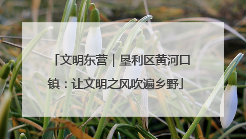 文明东营｜垦利区黄河口镇：让文明之风吹遍乡野