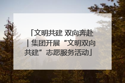 文明共建 双向奔赴｜集团开展“文明双向共建”志愿服务活动