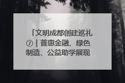 文明成都创建巡礼⑦｜普惠金融、绿色制造、公益助学展现城市文明底色