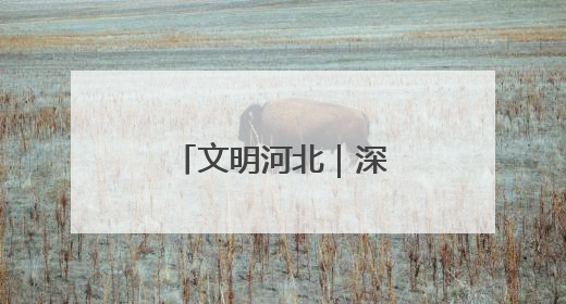 文明河北｜深耕文明沃土 共育时代新风