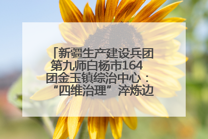 新疆生产建设兵团第九师白杨市164团金玉镇综治中心：“四维治理”淬炼边疆“枫桥样本”