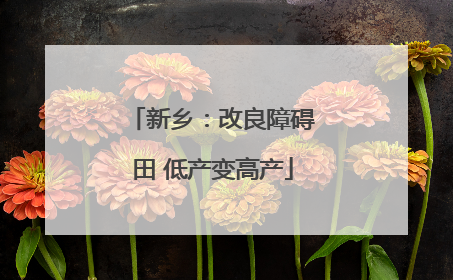 新乡：改良障碍田 低产变高产