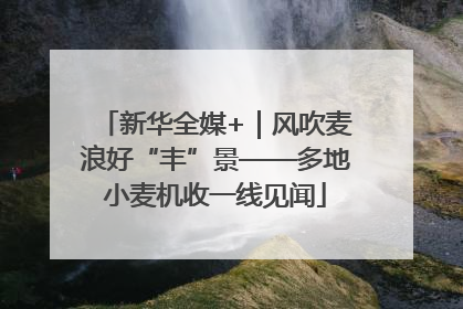 新华全媒+｜风吹麦浪好“丰”景——多地小麦机收一线见闻