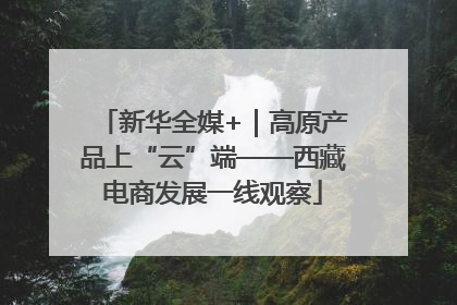 新华全媒+｜高原产品上“云”端——西藏电商发展一线观察