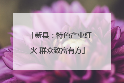 新县：特色产业红火 群众致富有方