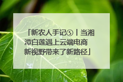 新农人手记⑤丨当湘潭白莲遇上云端电商 新视野带来了新路径