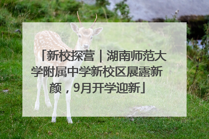 新校探营｜湖南师范大学附属中学新校区展露新颜，9月开学迎新