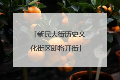 新民大街历史文化街区即将开街