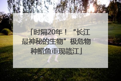时隔20年！“长江最神秘的生物”极危物种鳤鱼重现赣江