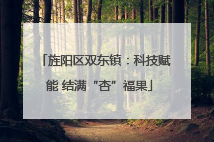 旌阳区双东镇：科技赋能 结满“杏”福果