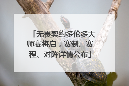 无畏契约多伦多大师赛将启，赛制、赛程、对阵详情公布