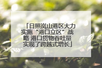 日照岚山港区大力实施“港口立区”战略 港口货物吞吐量实现了跨越式增长