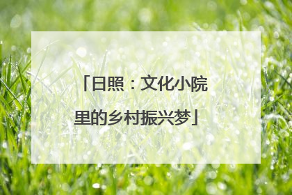 日照：文化小院里的乡村振兴梦