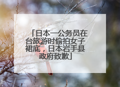日本一公务员在台旅游时偷拍女子裙底，日本岩手县政府致歉