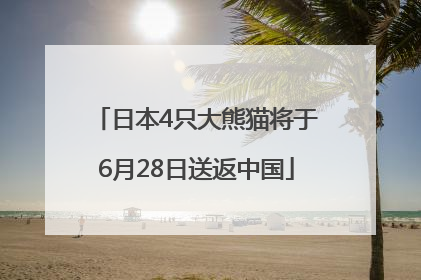日本4只大熊猫将于6月28日送返中国