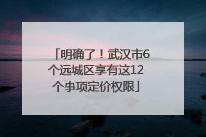 明确了！武汉市6个远城区享有这12个事项定价权限