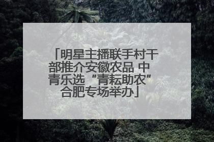 明星主播联手村干部推介安徽农品 中青乐选“青耘助农”合肥专场举办