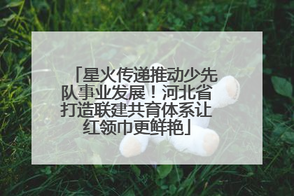 星火传递推动少先队事业发展！河北省打造联建共育体系让红领巾更鲜艳