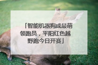 智能机器狗成最萌领跑员，平阳红色越野跑今日开赛