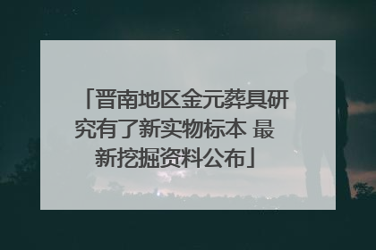 晋南地区金元葬具研究有了新实物标本 最新挖掘资料公布